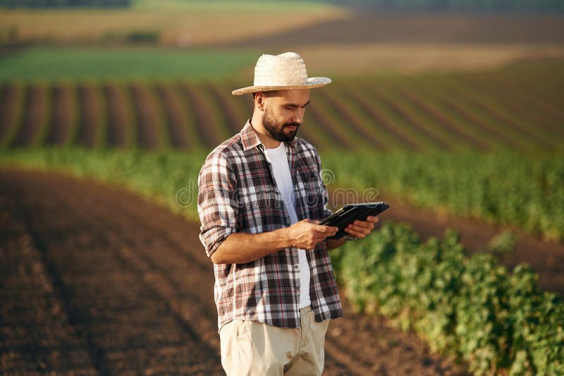 Tabletă digitală în mâini. Fermierul este pe terenul agricol stock photos