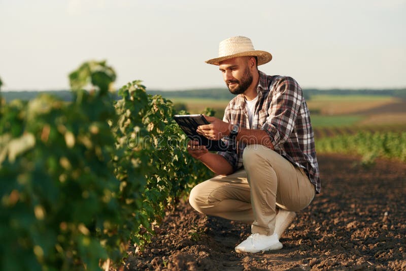 Tabletă digitală în mâini. Fermierul este pe terenul agricol royalty free stock photos