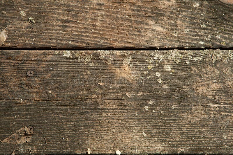 Tablones De Madera Del Cedro Foto de archivo - Imagen de batido