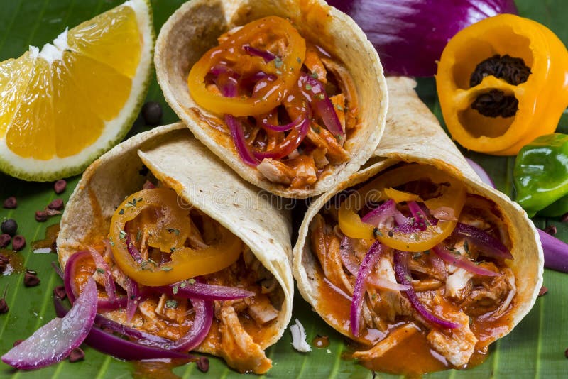 Taci di Cochinita Pibil immagini stock libere da diritti Taci di Cochinita Pibil immagini stock libere da diritti