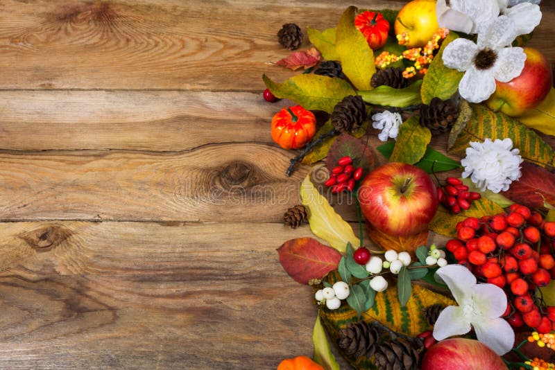 Tacksägelsebakgrund med vita bär och blommor, kopieringsbrunnsort royaltyfria foton Tacksägelsebakgrund med vita bär och blommor, kopieringsbrunnsort royaltyfria foton