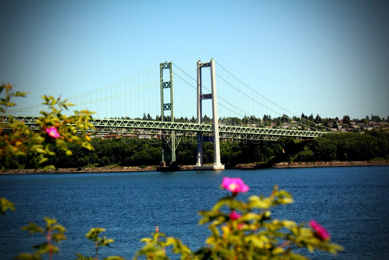 Tacoma Narrows Bridge