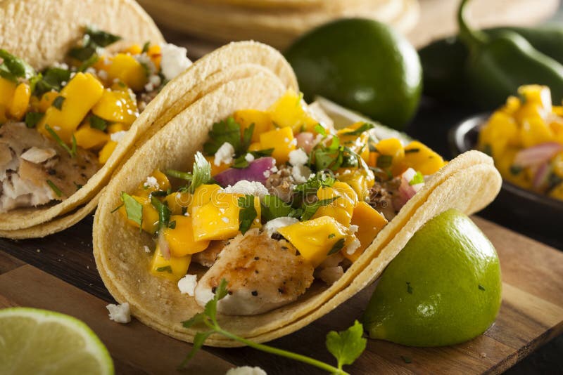 Tacos de peixes caseiros de Baja fotografia de stock royalty free Tacos de peixes caseiros de Baja fotografia de stock royalty free