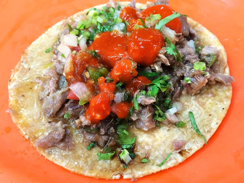 Tacos mexicain - Suadero image stock Tacos mexicain - Suadero image stock