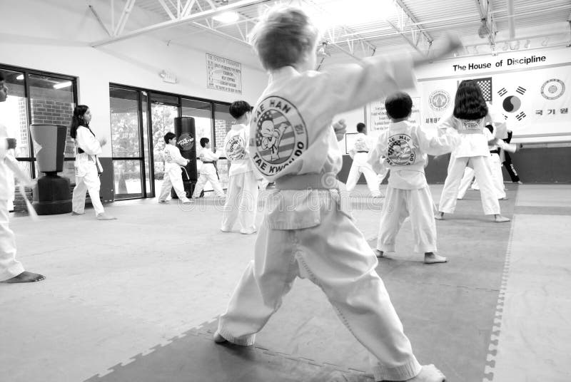 744 Tae Kwon Do Graphic Stock Photos Free & RoyaltyFree Stock Photos