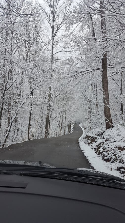 Tag Des Verschneiten Winters in OstTennessee Stockfoto Bild von