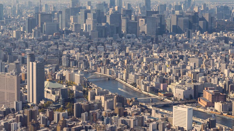 Tages-timelapse von Tokyo-Stadt, Japan vom Himmel-Baum, der Sumida-Fluss zeigt