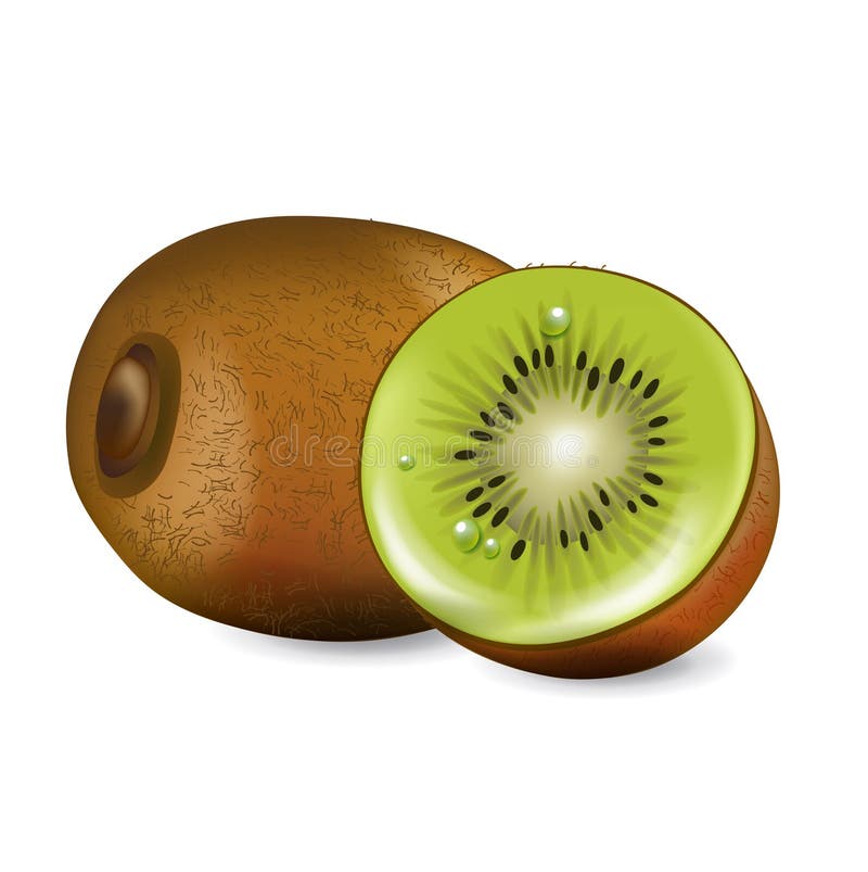 Tagli il kiwi e l'intero kiwi isolati illustrazione vettoriale
