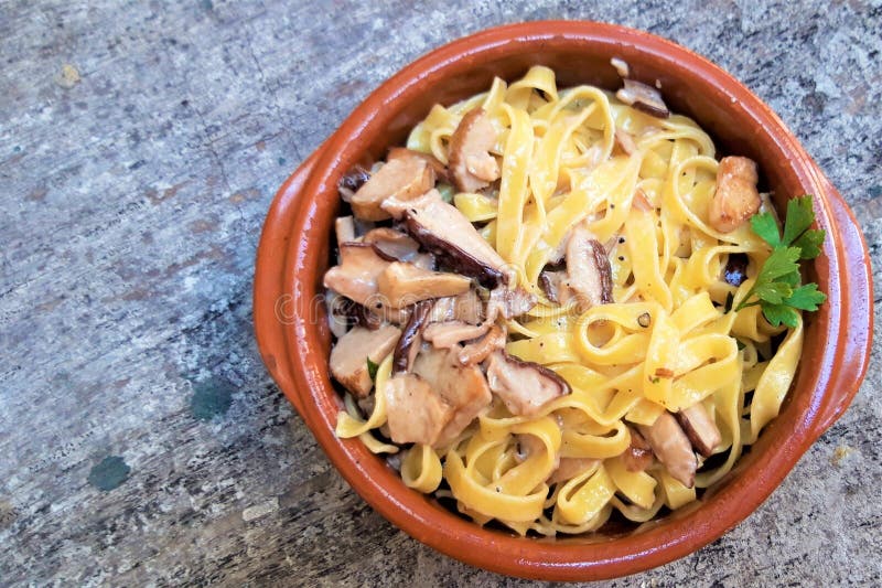 Tagliatelle με τα συγκομισμένα άγρια boletus μανιτάρια και σάλτσα μπέϊκον στο ξύλινο υπόβαθρο στοκ εικόνα με δικαίωμα ελεύθερης χρήσης Tagliatelle με τα συγκομισμένα άγρια boletus μανιτάρια και σάλτσα μπέϊκον στο ξύλινο υπόβαθρο στοκ εικόνα με δικαίωμα ελεύθερης χρήσης