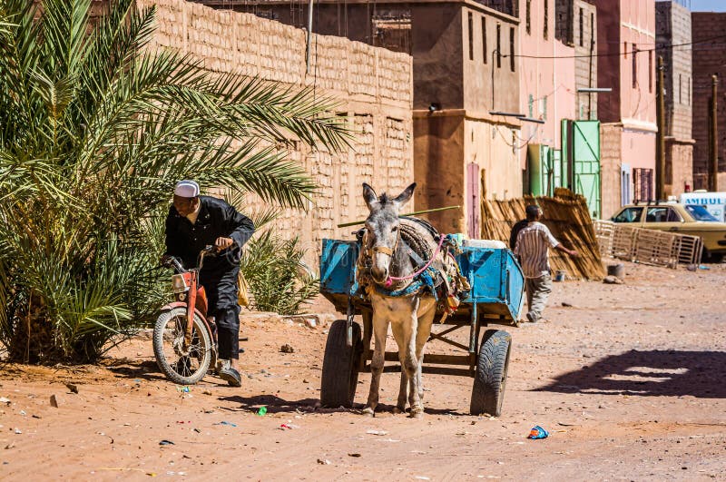 Tagounite, Marrocos - 10 de outubro de 2013 Vida na rua - asno de espera com vagão foto de stock Tagounite, Marrocos - 10 de outubro de 2013 Vida na rua - asno de espera com vagão foto de stock