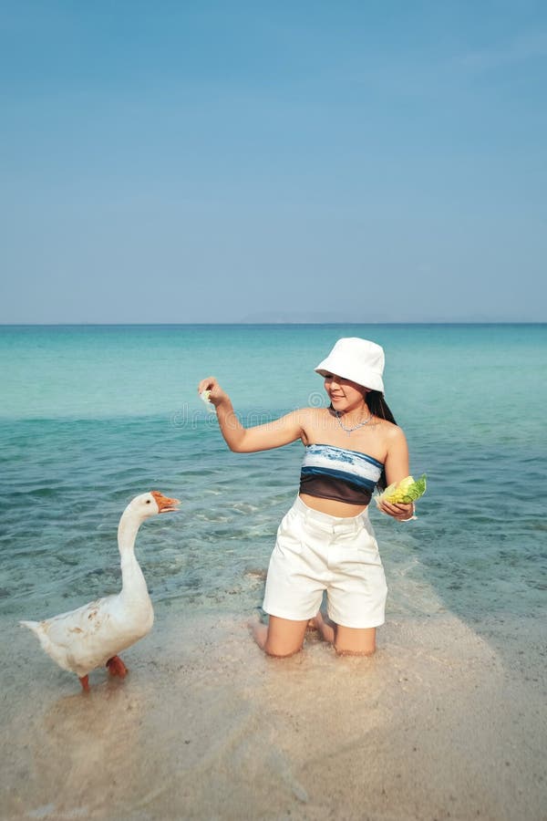 Tagsatmosphäre Fütterung Gänse weißen Sandstrand Meer klaren Wasser koh lara tropischen Strand pattaya Stadt chonburi lizenzfreie stockfotos