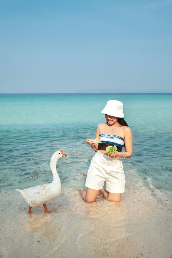Tagsatmosphäre Fütterung Gänse weißen Sandstrand Meer klaren Wasser koh lara tropischen Strand pattaya Stadt chonburi stockbilder