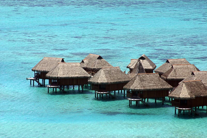 Tahiti chaty Tahiti chaty