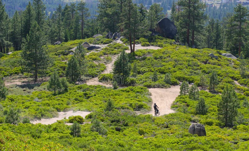 Dirt-bike rider on a lush forested trail at Lake Tahoe, California. Dirt-bike rider on a lush forested trail at Lake Tahoe, California