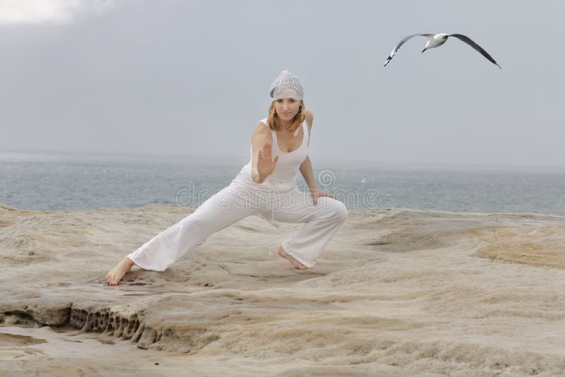 Tai Chi royalty free stock photo Tai Chi royalty free stock photo