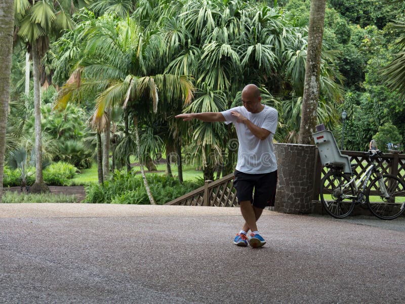 Tai Chi in the Botanical Gardens Editorial Photography Image of palms