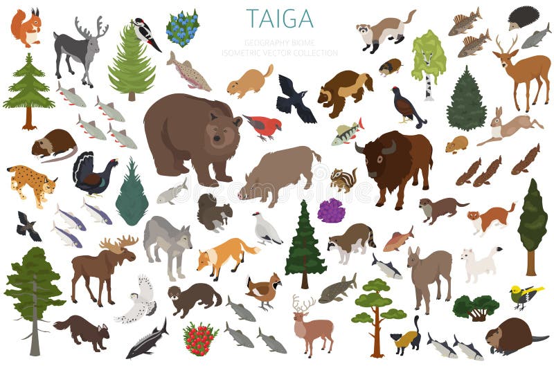 Terrestrial Animals Stock Illustrations – 422 Terrestrial Animals Stock Illustrations, Vectors & Clipart - Dreamstime Terrestrial Animals Stock Illustrations – 422 Terrestrial Animals Stock Illustrations, Vectors & Clipart - Dreamstime