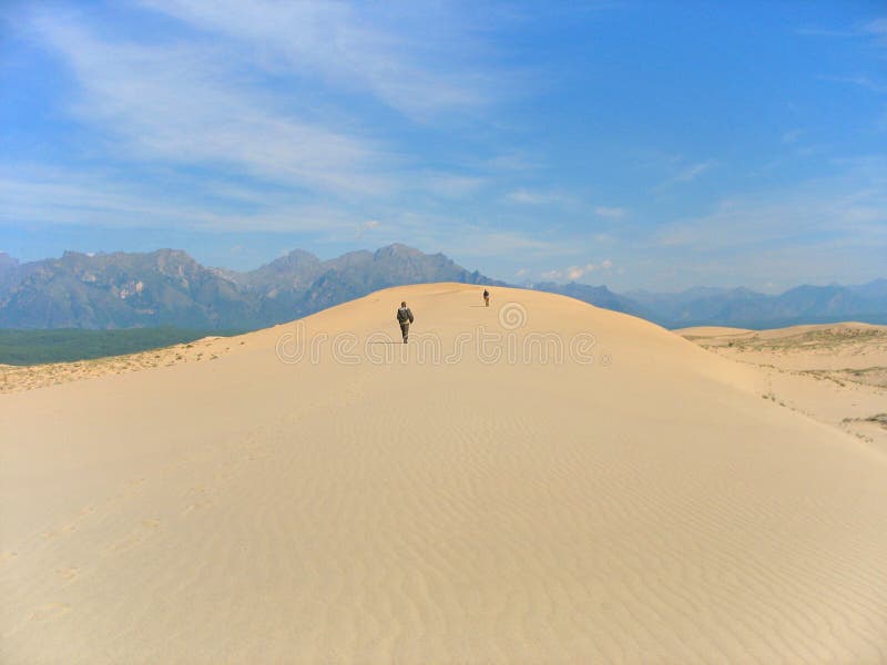 Taiga desert landscape 01