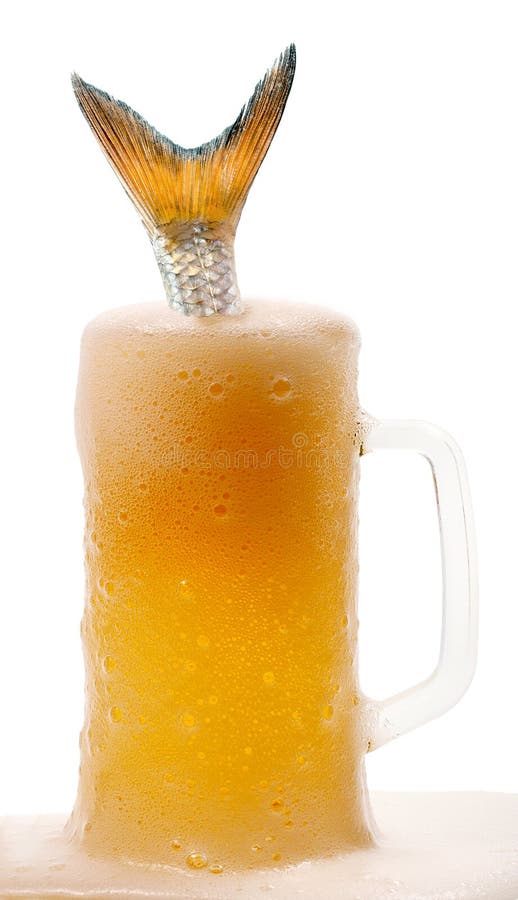Tail fish in beer stock image. Image of fish, golden 29497553