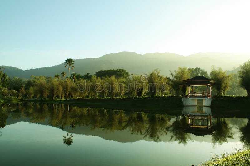 Taiping lake garden Malaysia royalty free stock image Taiping lake garden Malaysia royalty free stock image