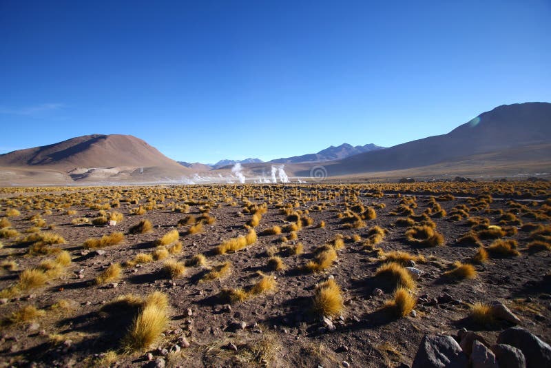 Taito Geysers in Atacama desert