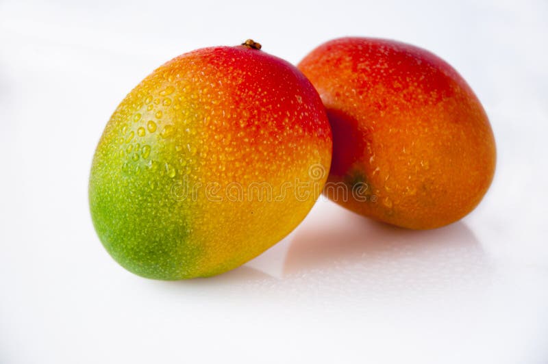Taiwan frukt, tropisk frukt, ny mango, royaltyfri foto Taiwan frukt, tropisk frukt, ny mango, royaltyfri foto
