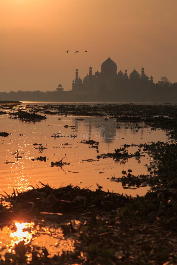 Taj Mahal at dawn