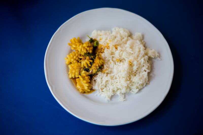 Tajlandzka korzenna wysuszona curry kałamarnica obraz royalty free Tajlandzka korzenna wysuszona curry kałamarnica obraz royalty free