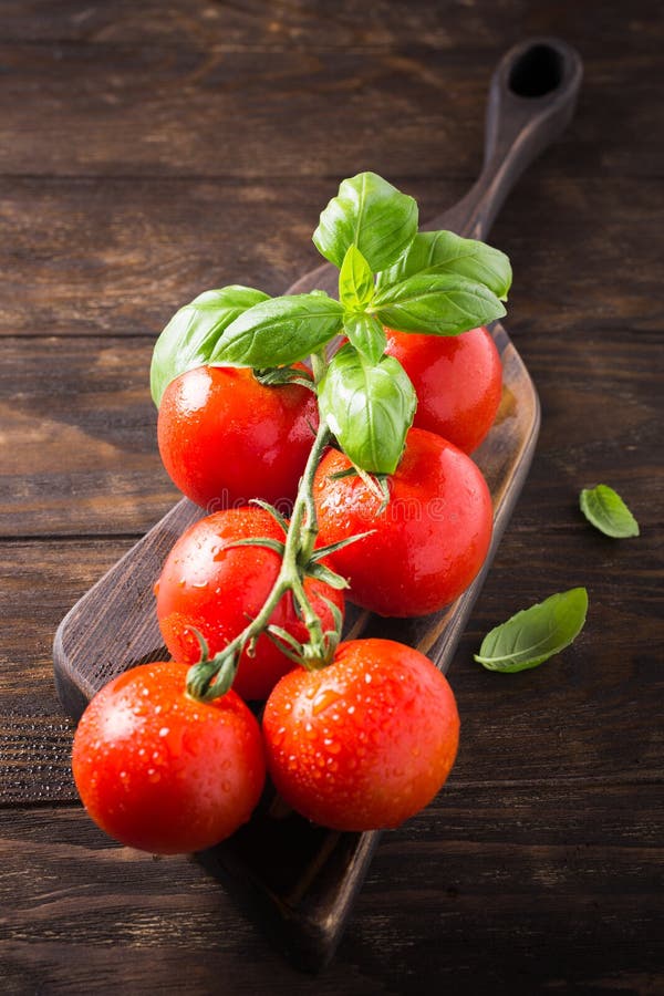 Tak van rijpe natuurlijke tomaten en basilicumbladeren royalty-vrije stock foto Tak van rijpe natuurlijke tomaten en basilicumbladeren royalty-vrije stock foto