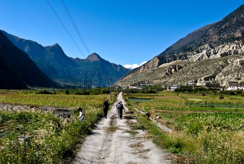 Take a walk royalty free stock photography