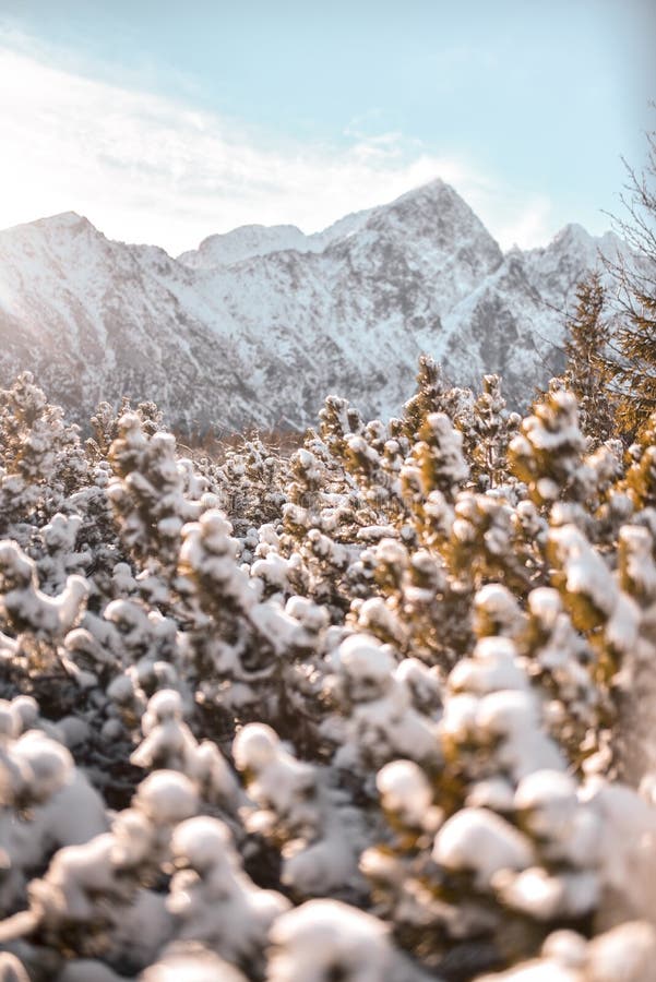 Biele pleso Slovensko výhled na hory