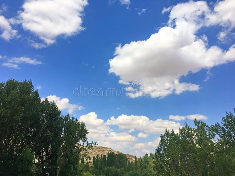 Download Blue Sky, Clouds and Trees stock photo. Image of august - 99878072