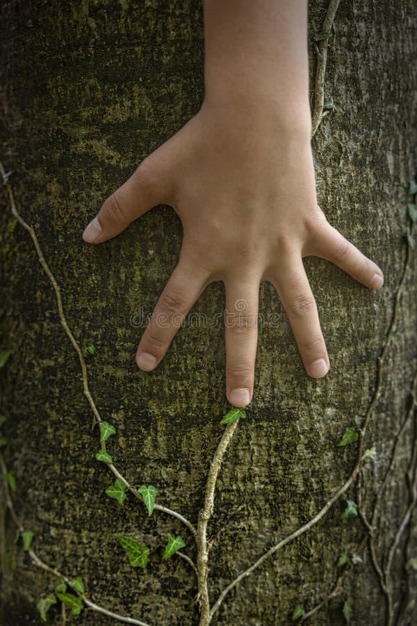 Care About Nature Stock Image Image Of Beginning Bloom