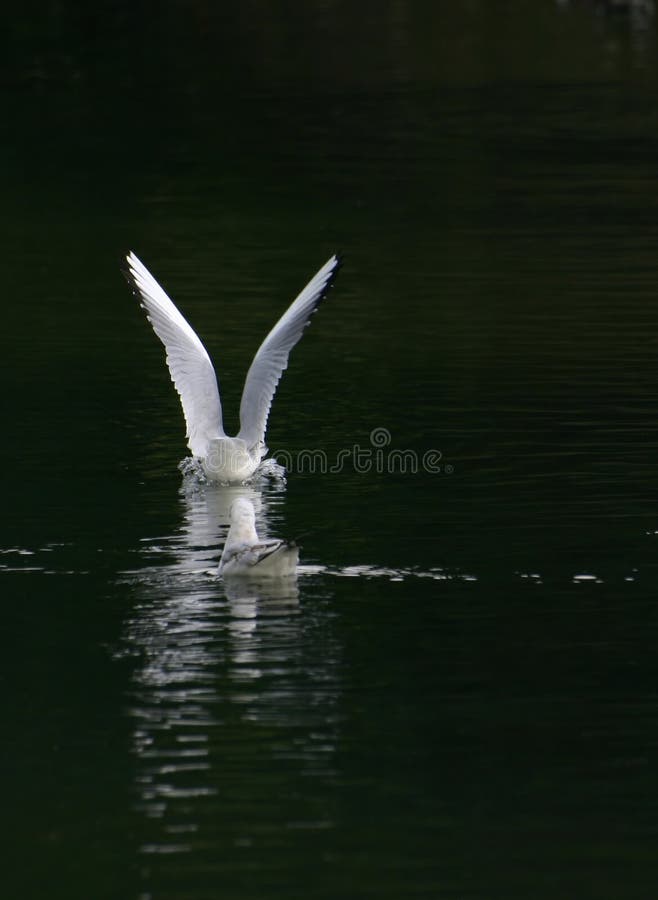 Taking off