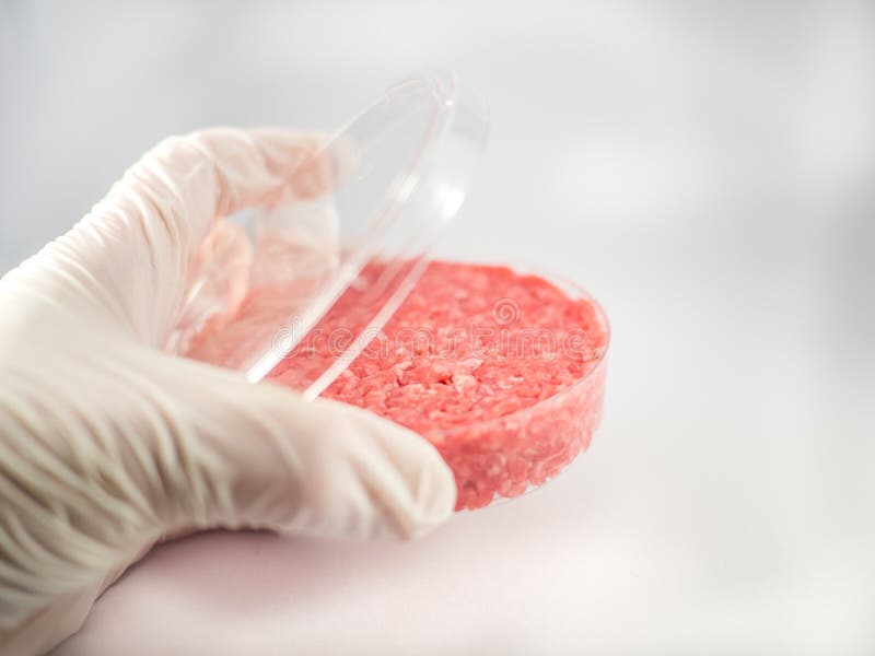 Artificial meat research