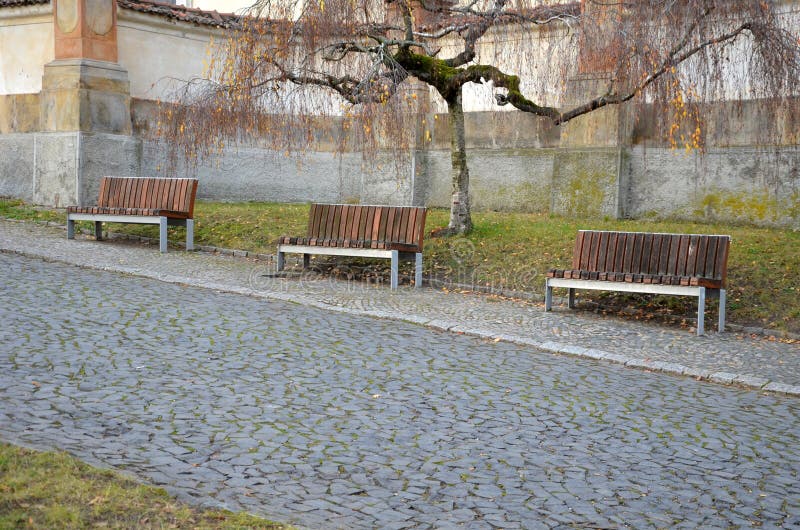 Branches long and always sloping. The untrimmed tree will create a dense umbrella of branches and leaves at approximately constant height so that the trunk will be little visible. Branches long and always sloping. The untrimmed tree will create a dense umbrella of branches and leaves at approximately constant height so that the trunk will be little visible.