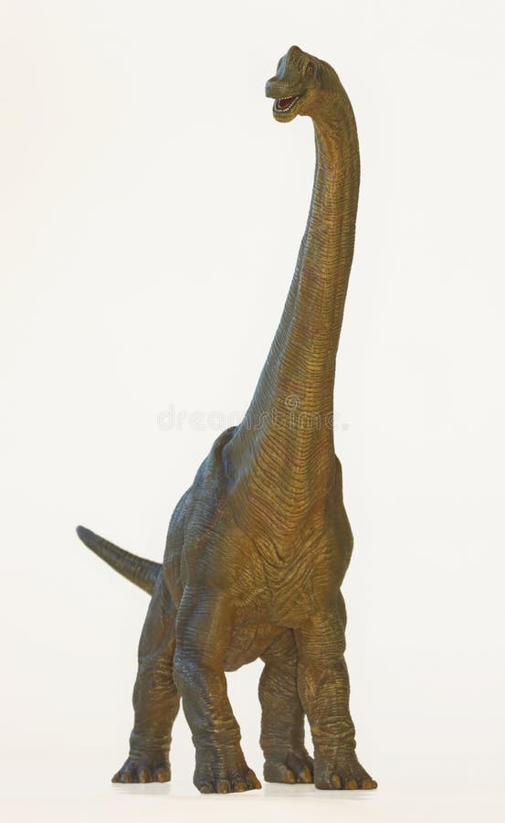 1 189 Brachiosaurus Stock Photos Free Royalty Free Stock Photos 1-189-brachiosaurus-stock-photos-free-royalty-free-stock-photos