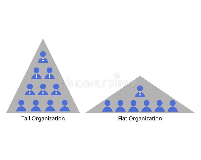 Tall And Flat Organizational Structure With Wide And Small Wide Spans Tall And Flat Organizational Structure With Wide And Small Wide Spans