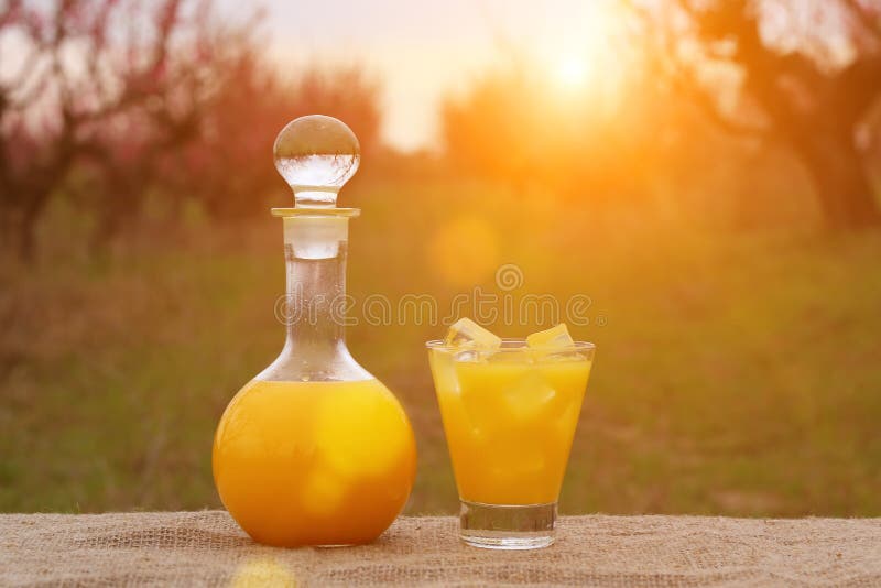 Tall Glass Of Tasty Freshly Squeezed Orange Juice Standing ...