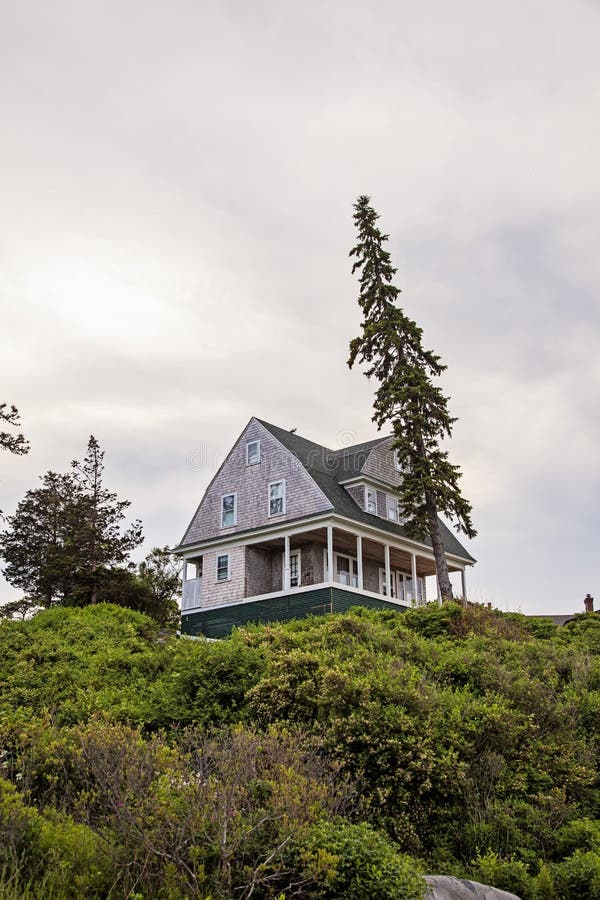 Tall Pine tree leaning over house