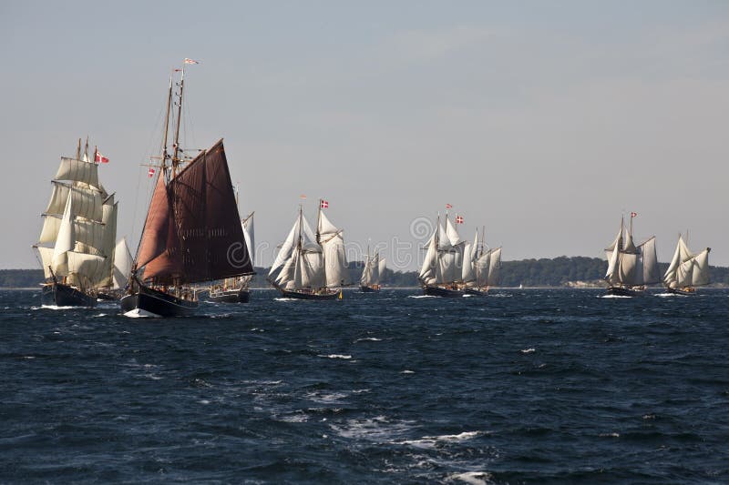 Tall ship race royalty free stock photo