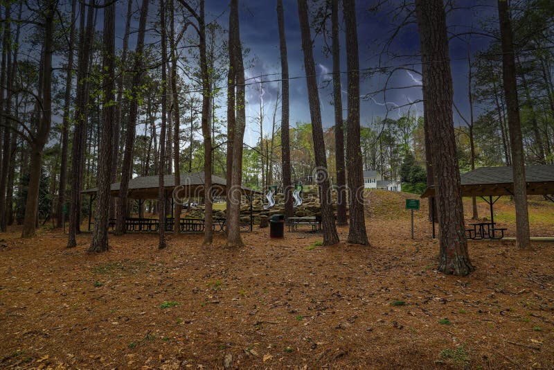 Tall thin pine trees in the forest with brown wooden pergolas and two slides on a hill with brown pine needles on the ground stock photography