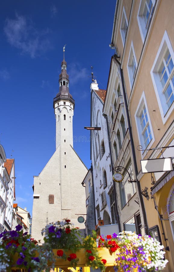 Tallinn, Estonia, ulica stary miasto z jaskrawymi domami i urzędu miasta kolcem zdjęcie stock Tallinn, Estonia, ulica stary miasto z jaskrawymi domami i urzędu miasta kolcem zdjęcie stock