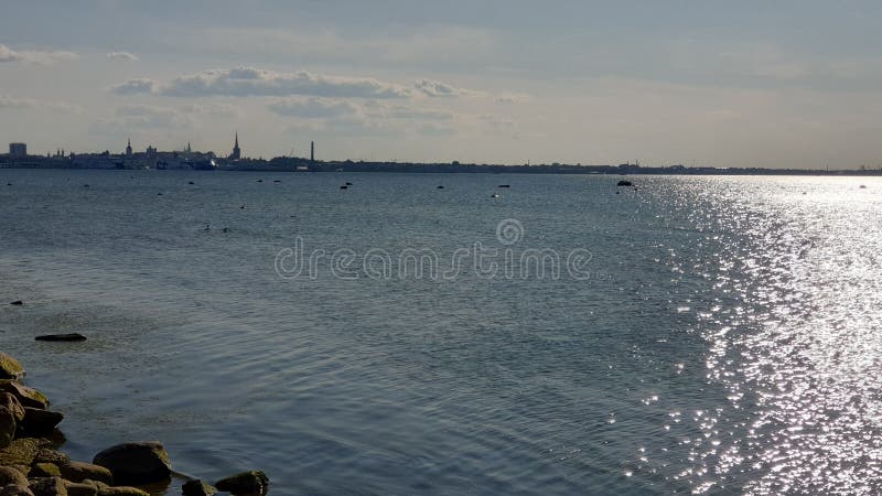 Tallinn för eftermiddag för silver för våg för sjösidasiktsSeascape blå panorama av staden från det baltiska havet för havsTallin arkivbilder Tallinn för eftermiddag för silver för våg för sjösidasiktsSeascape blå panorama av staden från det baltiska havet för havsTallin arkivbilder