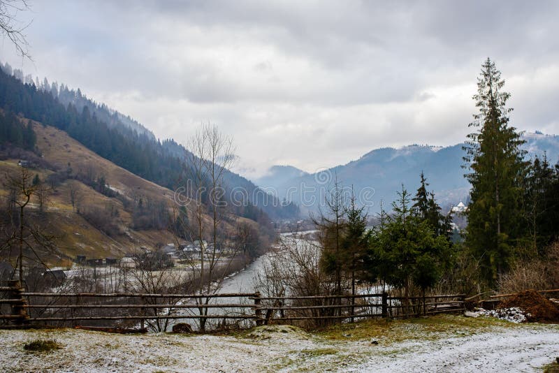 Tallskogstaket på bakgrunden av det Carpathian berget för vinter arkivfoton Tallskogstaket på bakgrunden av det Carpathian berget för vinter arkivfoton
