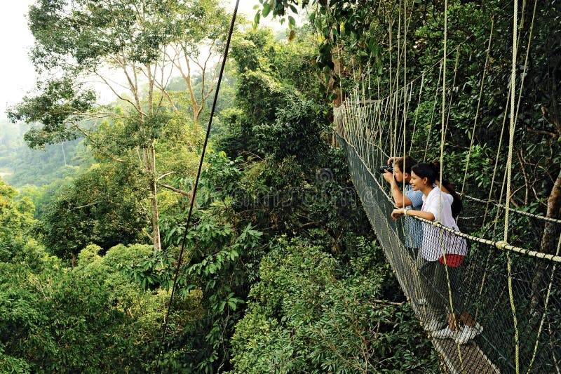 Taman Negara Canopy Walk