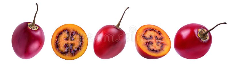 Tamarillo lokalisiert auf Weiß stockfotos
