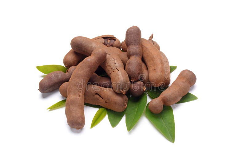 Tamarind Fruit on the Table Stock Image Image of edible, fresh 70630479