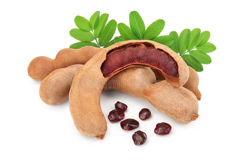 Tamarind Fruit and Seeds Isolated on White Background Stock Photo Image of seed, tropical
