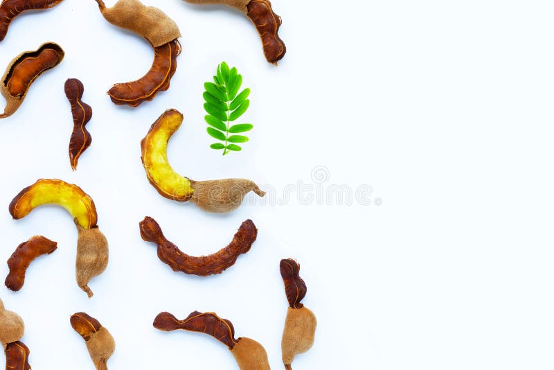 Tamarind Tropical Fruits. with Shell and Whole. Isolated on White